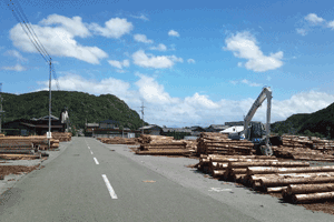 佐名伝遺跡の現状の写真