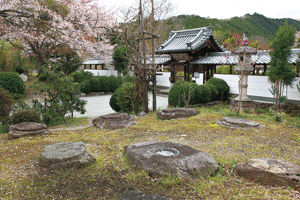 比曽寺（東塔）跡の写真