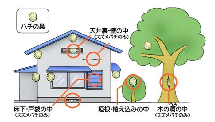 巣を作られやすい場所のイラスト